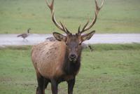 Omega Park (9) &ndash; &copy; Susanne Schirmann (Eberhardt TRAVEL)