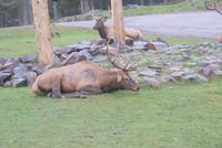 Omega Park (11) &ndash; &copy; Susanne Schirmann (Eberhardt TRAVEL)