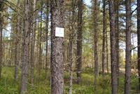 Wanderweg &ndash; &copy; Susanne Schirmann (Eberhardt TRAVEL)