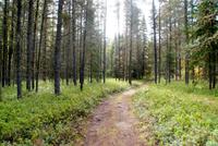 Wanderweg (2) &ndash; &copy; Susanne Schirmann (Eberhardt TRAVEL)
