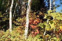 Lac Taureau (8) &ndash; &copy; Susanne Schirmann (Eberhardt TRAVEL)