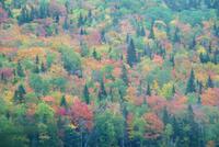 Indian Summer (4) &ndash; &copy; Susanne Schirmann (Eberhardt TRAVEL)