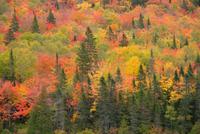 Indian Summer (6) &ndash; &copy; Susanne Schirmann (Eberhardt TRAVEL)