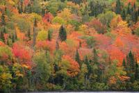 Indian Summer (9) &ndash; &copy; Susanne Schirmann (Eberhardt TRAVEL)