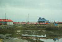 Whale Watching &ndash; &copy; Susanne Schirmann (Eberhardt TRAVEL)