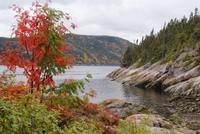 Tadoussac (3) &ndash; &copy; Susanne Schirmann (Eberhardt TRAVEL)