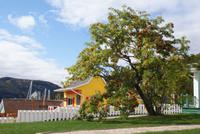 Tadoussac (11) &ndash; &copy; Susanne Schirmann (Eberhardt TRAVEL)