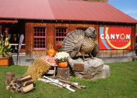 Canyon Saint Anne (8) &ndash; &copy; Susanne Schirmann (Eberhardt TRAVEL)