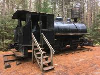Algonquin Park - Spaziergang auf dem Logging Trail