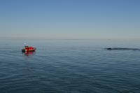 Walbeobachtung in Tadoussac - Dort sehen wir Zwergwale, Buckelwale und sogar Finnwale &ndash; &copy; Andreas Wolfsteller (Eberhardt TRAVEL)