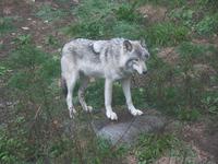 Omega-Wildlife-Park &ndash; &copy; Andrea Becker (Eberhardt TRAVEL)