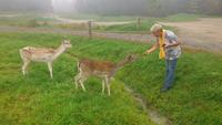 Omega-Wildlife-Park &ndash; &copy; Andrea Becker (Eberhardt TRAVEL)
