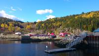 Tadoussac &ndash; &copy; Andrea Becker (Eberhardt TRAVEL)