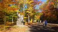 Canyon Sainte-Anne