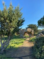 Königsgräber bei Paphos &ndash; &copy; Lea Weigmann (Eberhardt TRAVEL)