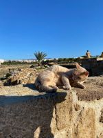 Königsgräber bei Paphos &ndash; &copy; Lea Weigmann (Eberhardt TRAVEL)