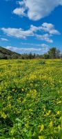 Wanderung entlang der Küste bei Pissouri - Zypern.jpg &ndash; &copy; Mario Scheinert (Eberhardt TRAVEL)