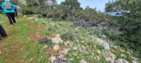 Wanderung auf der Akamashalbinsel - Zypern.jpg &ndash; &copy; Mario Scheinert (Eberhardt TRAVEL)