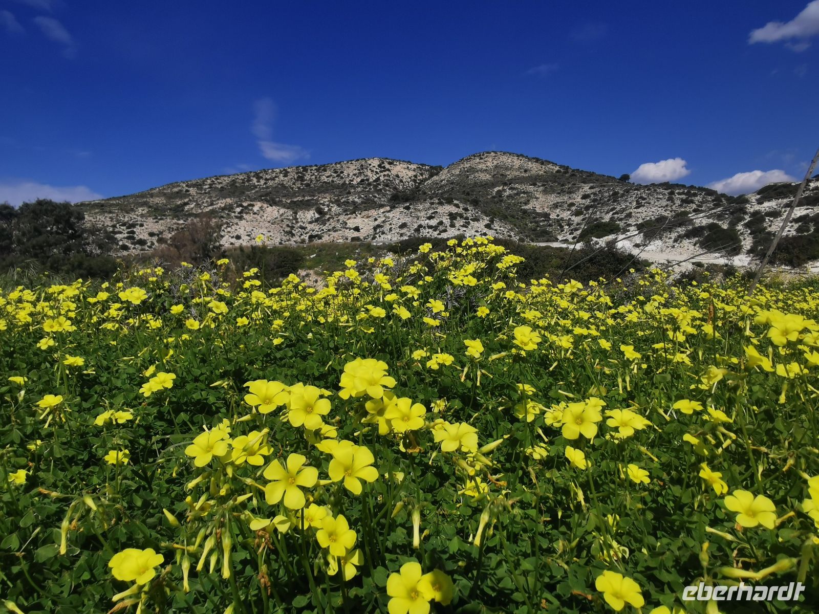 Ein völlig anderes Bild heute, üppig blühende Wiesen bei Sonne und 14 Grad &ndash; &copy; Simone Willner (Eberhardt TRAVEL)