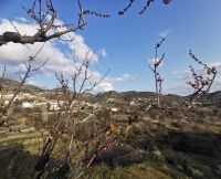 Agros, Rosenölfabrik &ndash; &copy; Simone Willner (Eberhardt TRAVEL)