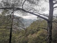 Alles grau in grau heut bei nur 1 Grad! &ndash; &copy; Simone Willner (Eberhardt TRAVEL)