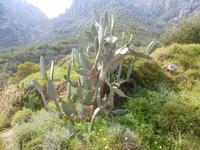 bei Lapta &ndash; &copy; Mario Scheinert (Eberhardt TRAVEL)