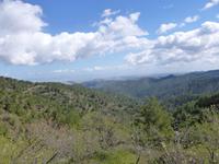 im Troodosgebirge
