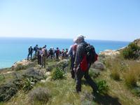 in der Nähe von Pissouri &ndash; &copy; Mario Scheinert (Eberhardt TRAVEL)