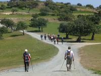 in der Nähe von Pissouri &ndash; &copy; Mario Scheinert (Eberhardt TRAVEL)