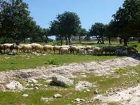 Akamas Halbinsel &ndash; &copy; Mario Scheinert (Eberhardt TRAVEL)