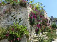 P1030773 &ndash; &copy; Kathrin Mickan (Eberhardt TRAVEL)