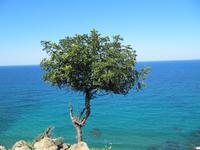 &copy; Britt Reuter-Bracklow (Eberhardt TRAVEL)