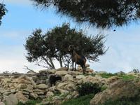 &copy; Britt Reuter-Bracklow (Eberhardt TRAVEL)