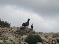&copy; Britt Reuter-Bracklow (Eberhardt TRAVEL)