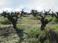 &copy; Britt Reuter-Bracklow (Eberhardt TRAVEL)