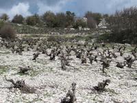 &copy; Britt Reuter-Bracklow (Eberhardt TRAVEL)