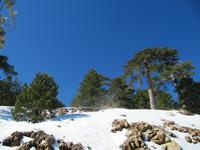 Persephonie-Wanderung im Schnee &ndash; &copy; Britt Reuter-Bracklow (Eberhardt TRAVEL)