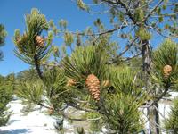 Persephonie-Wanderung im Schnee &ndash; &copy; Britt Reuter-Bracklow (Eberhardt TRAVEL)