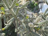 Nordzypern: Wanderung zur St. Hilarion &ndash; &copy; Britt Reuter-Bracklow (Eberhardt TRAVEL)