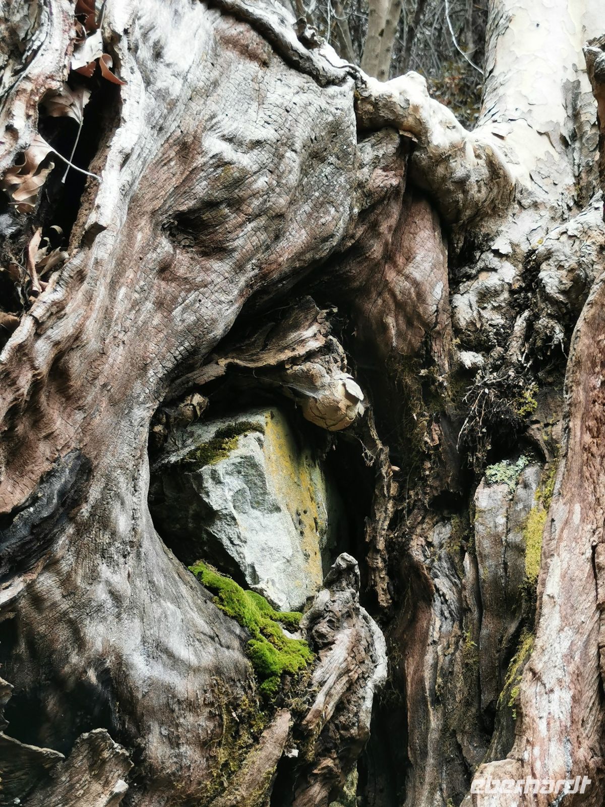 &copy; Michael Rass (Eberhardt TRAVEL)