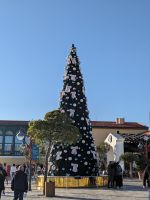 42. Stadt Limassol &ndash; &copy; Teresa Rumpel (Eberhardt TRAVEL)