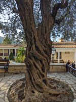 139. Kloster Neophytos &ndash; &copy; Teresa Rumpel (Eberhardt TRAVEL)