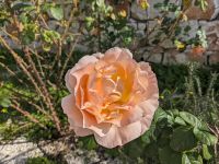146. Weingut &ndash; &copy; Teresa Rumpel (Eberhardt TRAVEL)