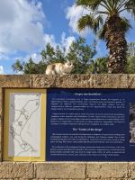 241. Königsgräber Paphos &ndash; &copy; Teresa Rumpel (Eberhardt TRAVEL)