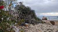 Felsen der Aphrodite - Glücksschleifen &ndash; &copy; Eric Krüger (Eberhardt TRAVEL)