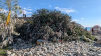 Felsen der Aphrodite - Glücksschleifen &ndash; &copy; Eric Krüger (Eberhardt TRAVEL)