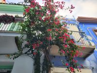 Dorf Lefkara  &ndash; &copy; Celine Patzak (Eberhardt TRAVEL)