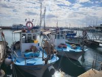 Hafen von Limassol  &ndash; &copy; Celine Patzak (Eberhardt TRAVEL)