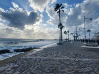 Hafen von Paphos  &ndash; &copy; Celine Patzak (Eberhardt TRAVEL)