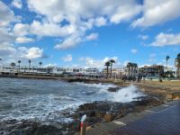 Hafen von Paphos  &ndash; &copy; Celine Patzak (Eberhardt TRAVEL)